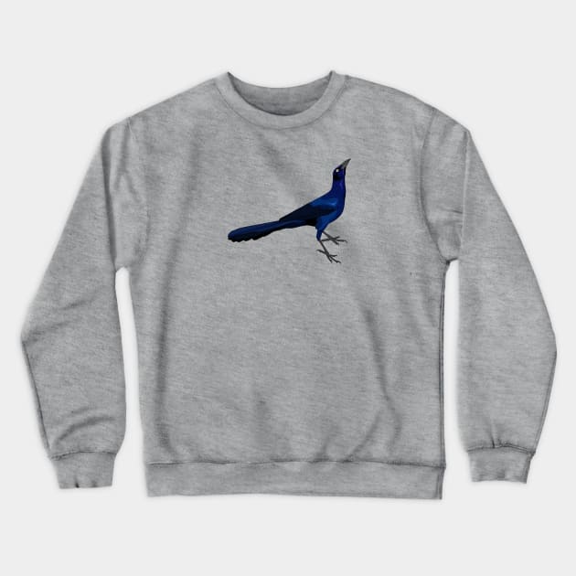 Great-tailed Grackle Crewneck Sweatshirt by Feathered Focus